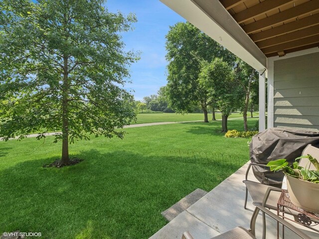 45 Tyler Ct Unit A, Streamwood, IL 60107 - view of green lawn
