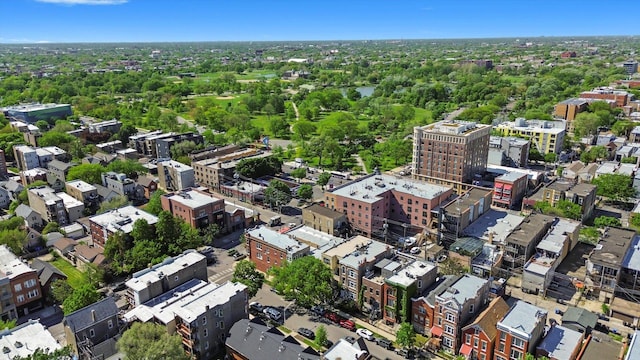2744 W Haddon Ave Unit 2, Chicago, IL 60622 - drone / aerial view