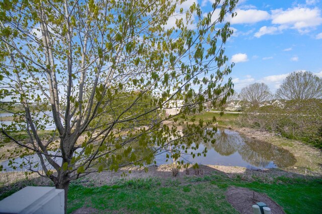 439 Bay Tree Cir, Vernon Hills, IL 60061 - aerial view of residential area featuring a large body of water