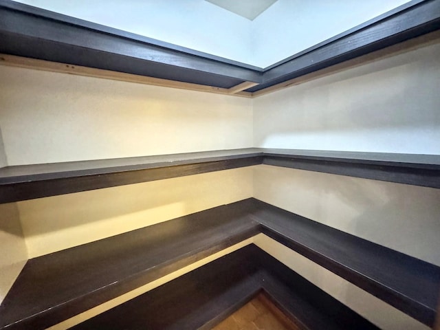 1204 W Reynolds St, Pontiac, IL 61764 - view of pantry