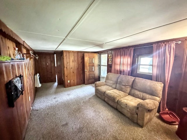 1204 W Reynolds St, Pontiac, IL 61764 - living area featuring carpet floors and wood walls