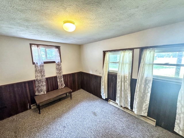 1204 W Reynolds St, Pontiac, IL 61764 - carpeted empty room with wainscoting, healthy amount of natural light, wooden walls, and a textured ceiling