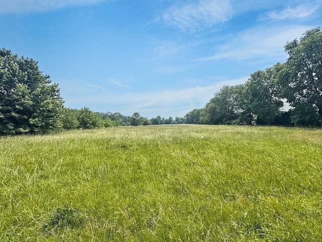1204 W Reynolds St, Pontiac, IL 61764 - view of nature with rural landscape