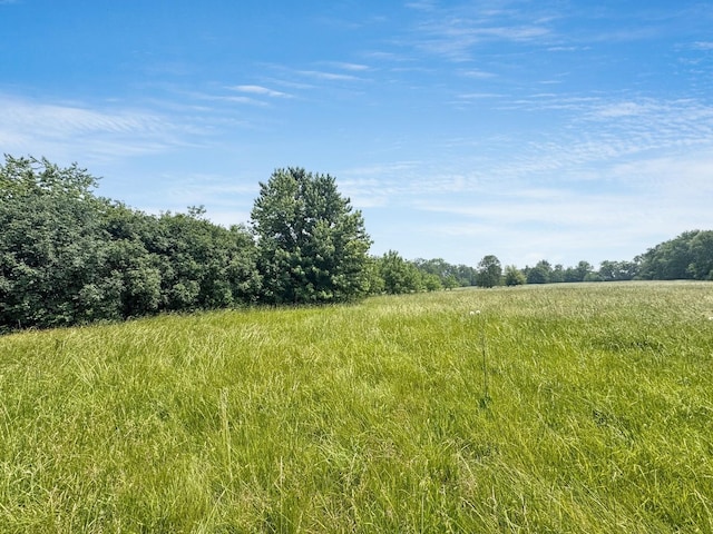 1204 W Reynolds St, Pontiac, IL 61764 - view of nature with rural landscape