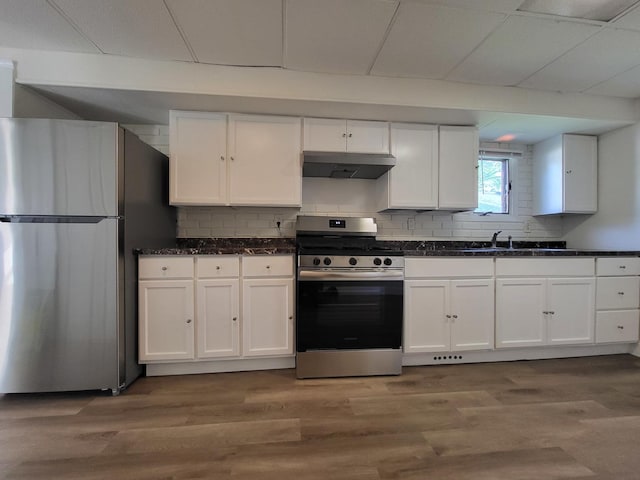 37714 N Nippersink Pl, Spring Grove, IL 60081 - kitchen with appliances with stainless steel finishes, under cabinet range hood, white cabinets, and tasteful backsplash