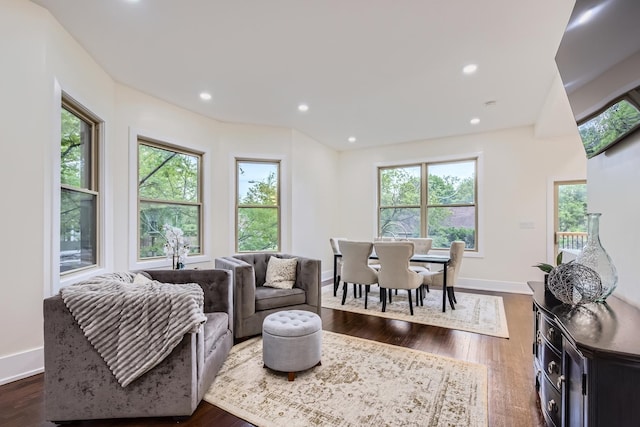 9556 S Winchester Ave, Chicago, IL 60643 - living area with plenty of natural light, dark wood-type flooring, and recessed lighting
