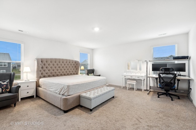 10119 Central Park Blvd, Huntley, IL 60142 - photo 11