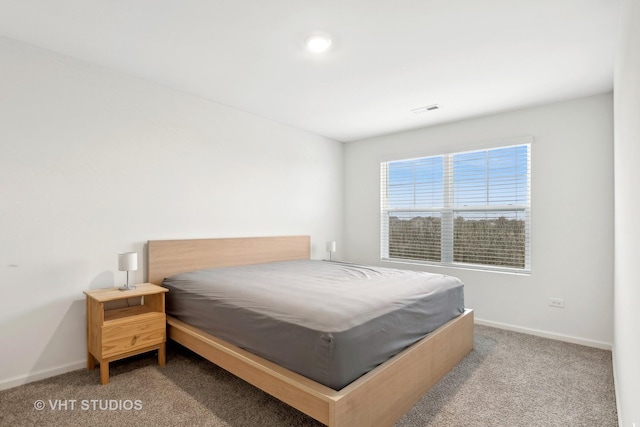 10119 Central Park Blvd, Huntley, IL 60142 - photo 15