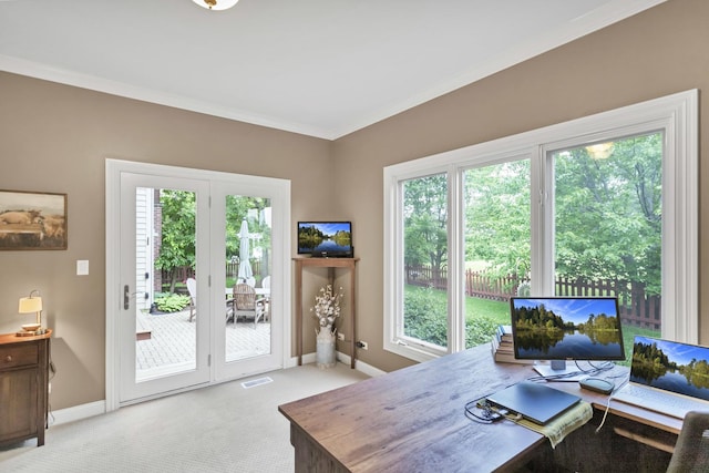 2559 Bird Ln, Batavia, IL 60510 - office featuring light carpet, baseboards, and crown molding