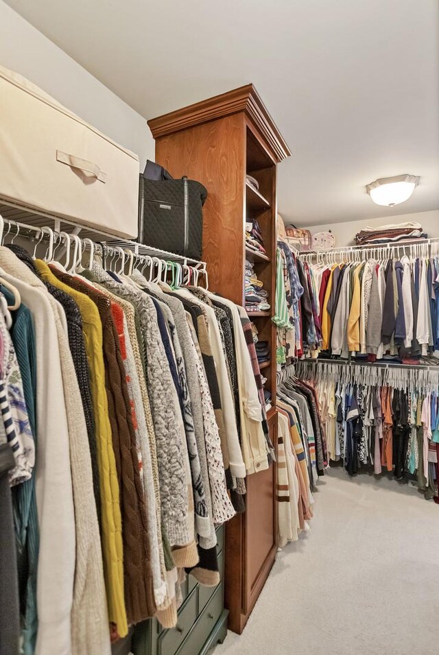 2559 Bird Ln, Batavia, IL 60510 - walk in closet featuring carpet flooring