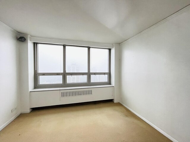 88 W Schiller St Unit 2805L, Chicago, IL 60610 - empty room with light carpet, baseboards, and ornamental molding