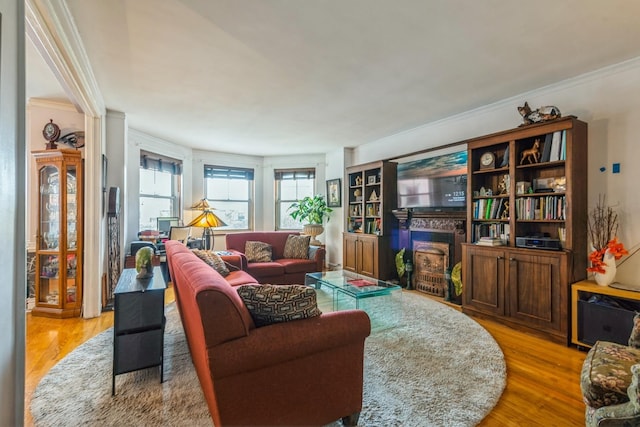 5555 N Sheridan Rd Unit 309, Chicago, IL 60640 - living room featuring light wood-type flooring, a fireplace with flush hearth, and crown molding