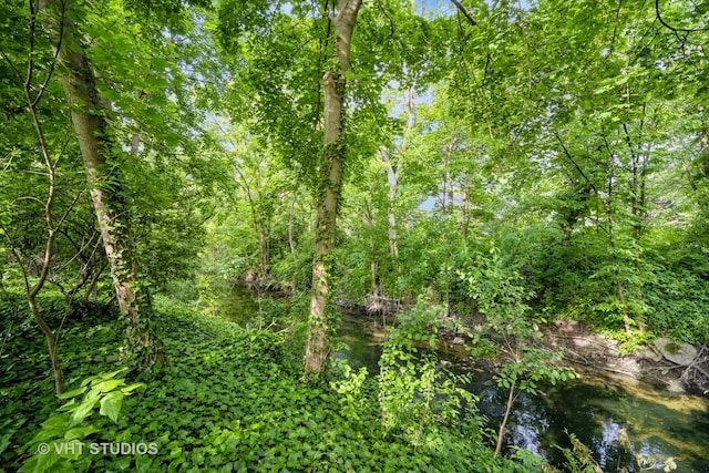 1731 Maple Ave, Northbrook, IL 60062 - view of tree filled area