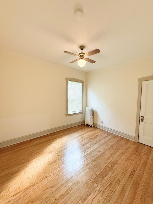 619 Harlem Ave, Forest Park, IL 60130 - photo 11