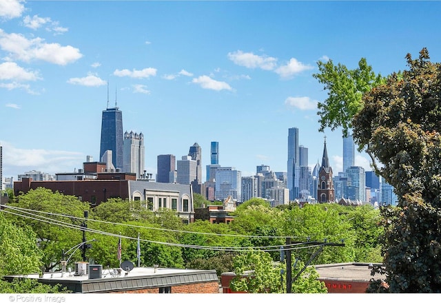 2015 N Howe St, Chicago, IL 60614 - view of city skyline