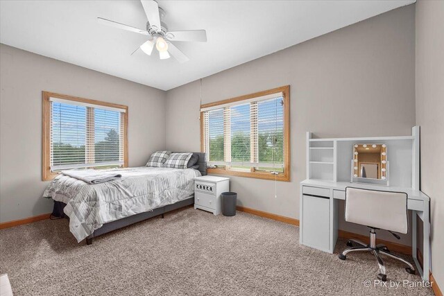 3609 Sagebrush Ct, Johnsburg, IL 60051 - bedroom featuring multiple windows, light carpet, baseboards, and ceiling fan