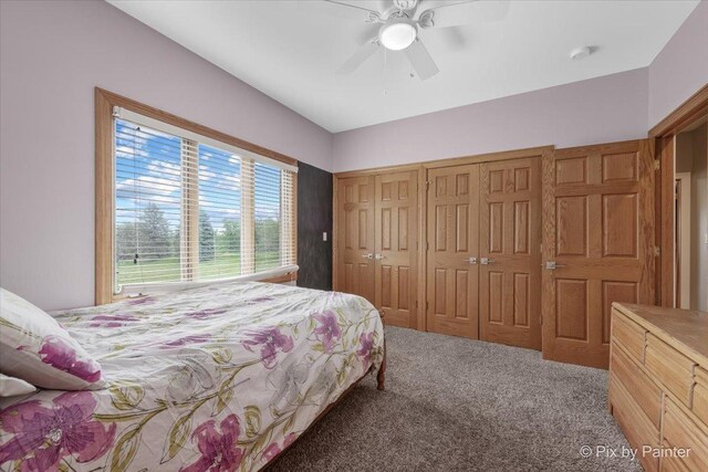 3609 Sagebrush Ct, Johnsburg, IL 60051 - bedroom with carpet floors and a ceiling fan