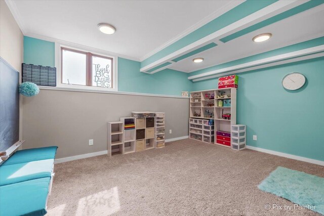 3609 Sagebrush Ct, Johnsburg, IL 60051 - living area featuring ornamental molding, carpet, and baseboards