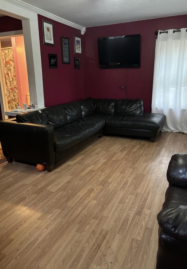 332 N Ave, Aurora, IL 60505 - living area featuring wood finished floors and crown molding