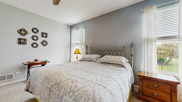 2217 Tyler Trl, Mchenry, IL 60051 - bedroom with carpet, baseboards, and a ceiling fan
