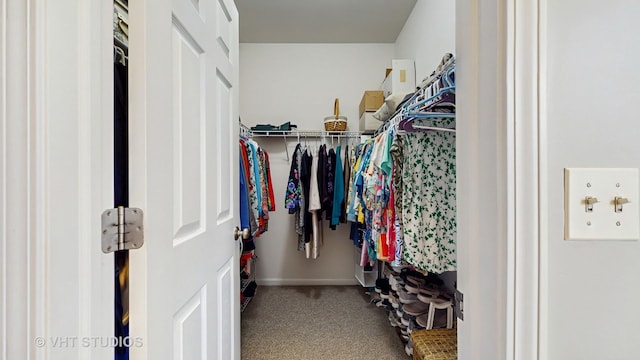 2217 Tyler Trl, Mchenry, IL 60051 - spacious closet featuring carpet