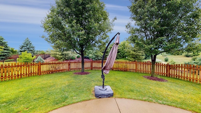 2217 Tyler Trl, Mchenry, IL 60051 - view of yard with a patio area