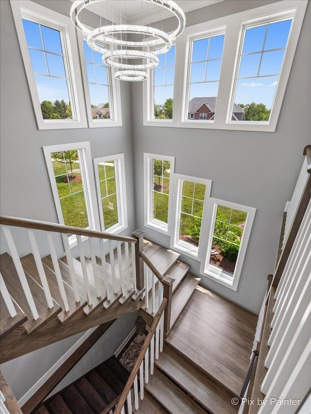 1044 Redbud Ln, Sugar Grove, IL 60554 - staircase with a towering ceiling, healthy amount of natural light, a chandelier, and wood finished floors