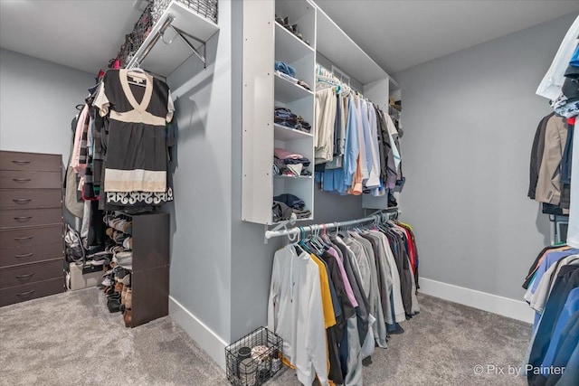 1044 Redbud Ln, Sugar Grove, IL 60554 - spacious closet featuring carpet