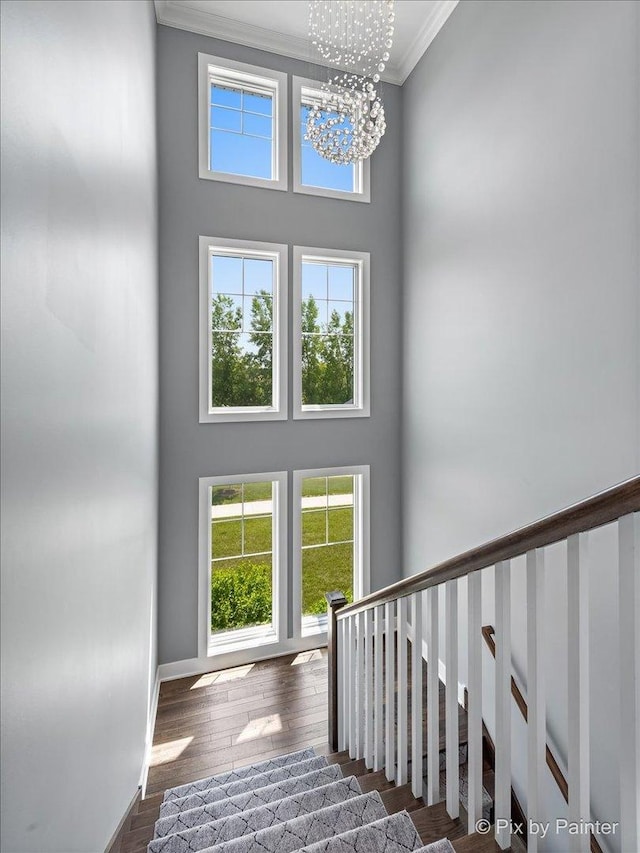 1044 Redbud Ln, Sugar Grove, IL 60554 - staircase featuring crown molding, a towering ceiling, a chandelier, healthy amount of natural light, and wood finished floors