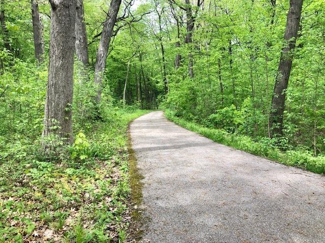1044 Redbud Ln, Sugar Grove, IL 60554 - view of road featuring a wooded view