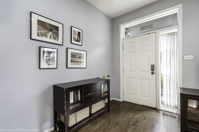 3315 N Racine Ave Unit E, Chicago, IL 60657 - foyer with plenty of natural light and dark wood-style floors
