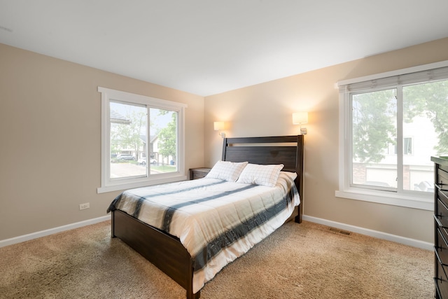 1355 Kingsbury Dr Unit 1, Hanover Park, IL 60133 - bedroom featuring multiple windows, baseboards, and light colored carpet