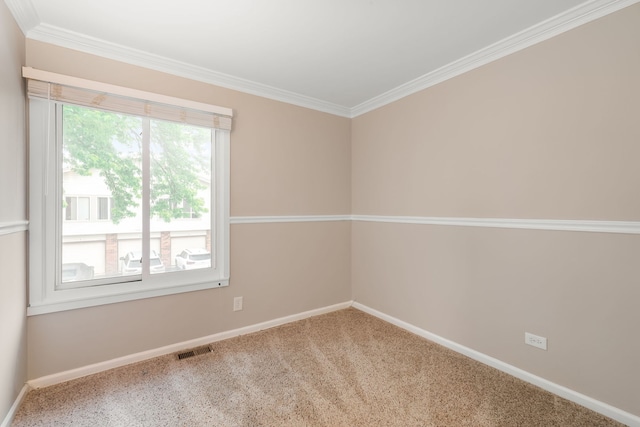 1355 Kingsbury Dr Unit 1, Hanover Park, IL 60133 - spare room with carpet flooring, baseboards, and ornamental molding