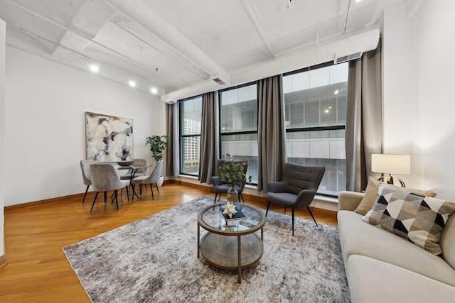633 S Plymouth Ct Unit 607, Chicago, IL 60605 - living room with wood finished floors, baseboards, and track lighting