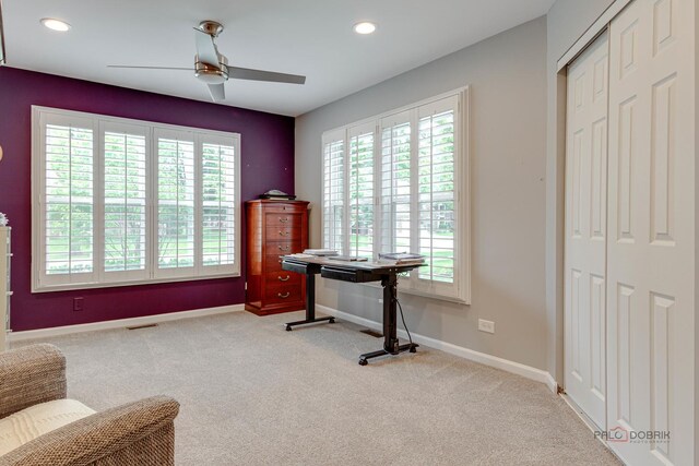 230 Willow Pkwy, Buffalo Grove, IL 60089 - photo 19
