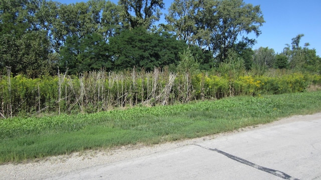 4 Nantucket Dr Lot1 2, 3, Darien, IL 60561 - photo 4
