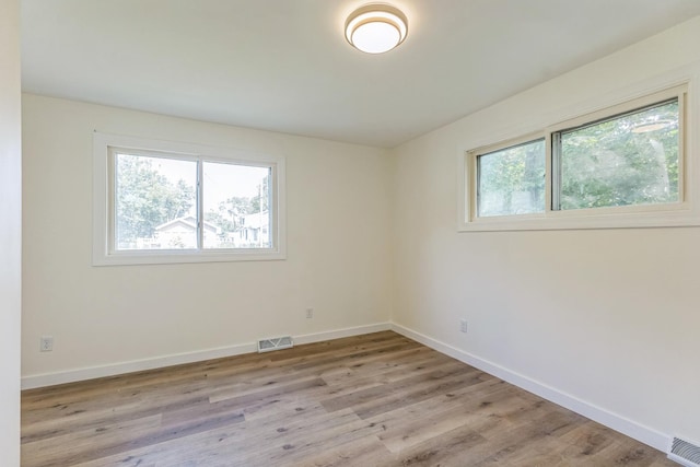 313 Grand Blvd, Loves Park, IL 61111 - spare room with healthy amount of natural light, light wood-type flooring, and baseboards