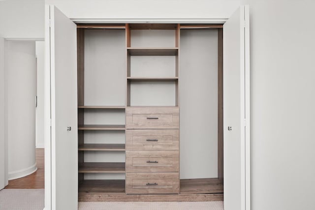 233 E 13th St Unit 601, Chicago, IL 60605 - view of closet