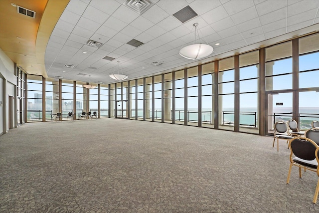 233 E 13th St Unit 601, Chicago, IL 60605 - living room featuring a water view, carpet floors, a high ceiling, and expansive windows