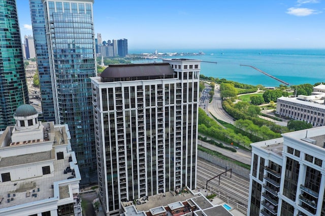 233 E 13th St Unit 601, Chicago, IL 60605 - city view with a large body of water