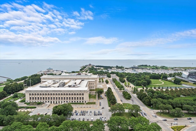 233 E 13th St Unit 601, Chicago, IL 60605 - bird's eye view of a nearby body of water