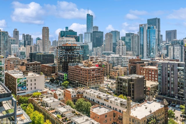 362 W Huron St Unit B, Chicago, IL 60654 - view of city skyline