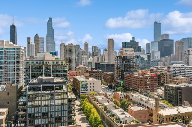 362 W Huron St Unit B, Chicago, IL 60654 - skyline view