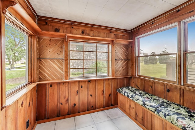 10117 Potter Rd, Des Plaines, IL 60016 - sunroom with plenty of natural light