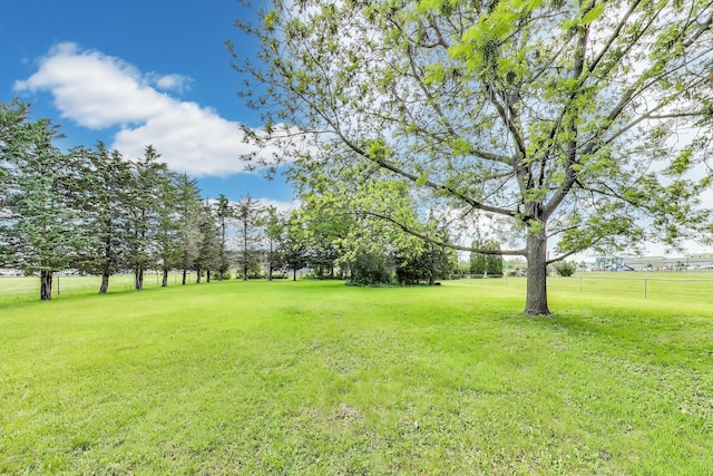 10117 Potter Rd, Des Plaines, IL 60016 - view of green lawn