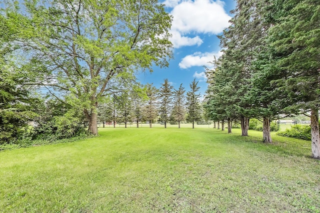 10117 Potter Rd, Des Plaines, IL 60016 - view of grassy yard