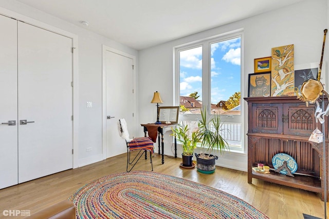 1920 S Shelby Ct, Chicago, IL 60608 - living area with wood finished floors