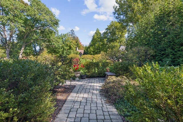 350 N Deere Park Dr W, Highland Park, IL 60035 - photo 3