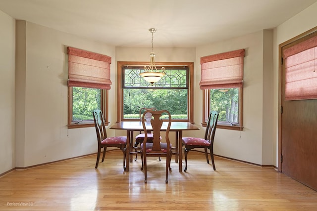 8540 W 119th St, Palos Park, IL 60464 - dining space featuring healthy amount of natural light and light wood-style flooring