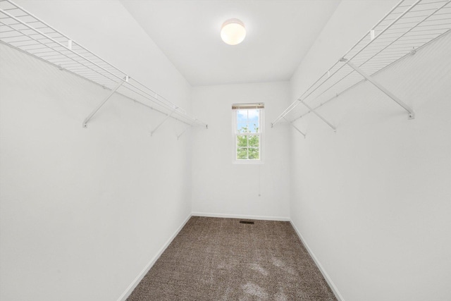 1133 Heron Cir, Joliet, IL 60431 - walk in closet with carpet